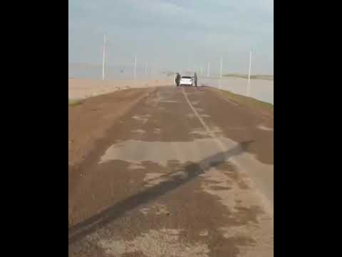 Подтопление в Туркестанской области