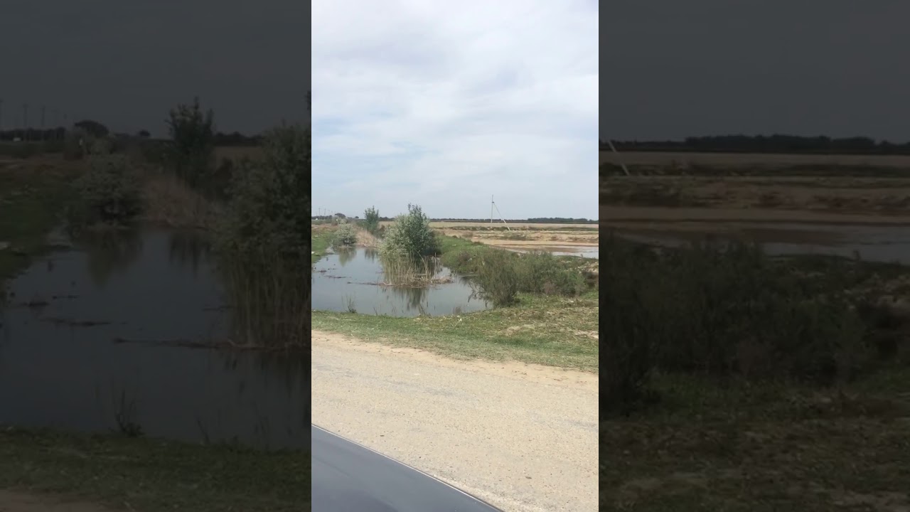 Жаңатас ауылындағы су тасқыны (әуесқой түсірілім)