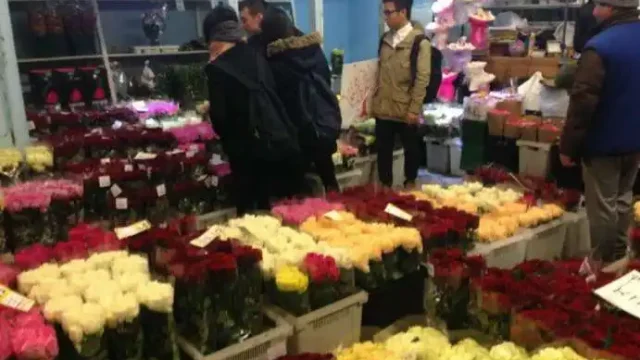 Алматыда 8 наурыз қарсаңында голланд раушандары екі есеге қымбаттап кетті