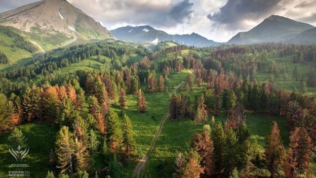 Елге келген оралмандар жерді 25 жылға жалға ала алады