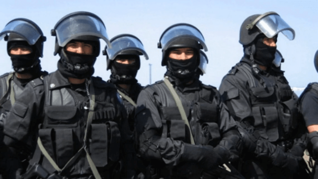 Сенаторлар ұлттық қауіпсіздік жүйесін қайта құру жұмысына тоқталды