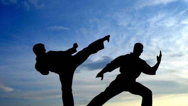 2020 жылы Токиода өтетін олимпиадаға каратэ-до енді