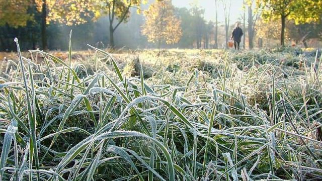 Алматы облысында қатқақ жүріп өтеді