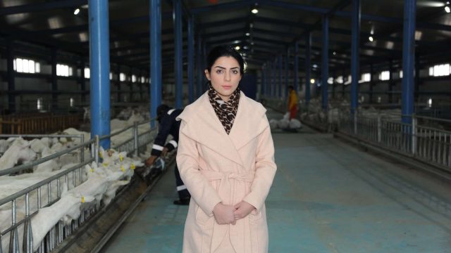 Тамила Розметова: Ешкі сүтінен ірімшік өндіретін зауыттың ТМД-да аналогы жоқ