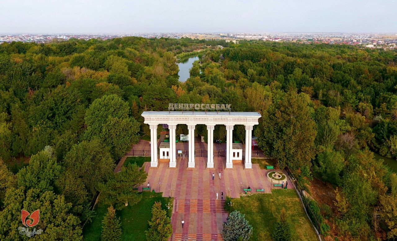 Дендросаябақ