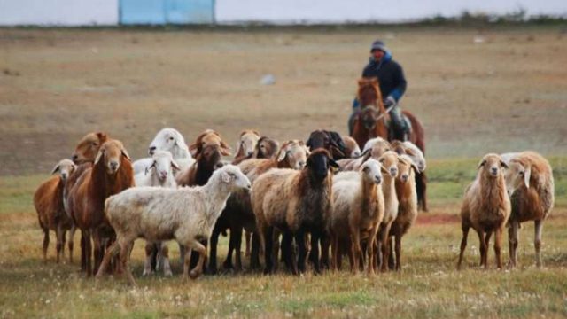 Алдағы уақытта әр ауылдың өз бюджеті болады