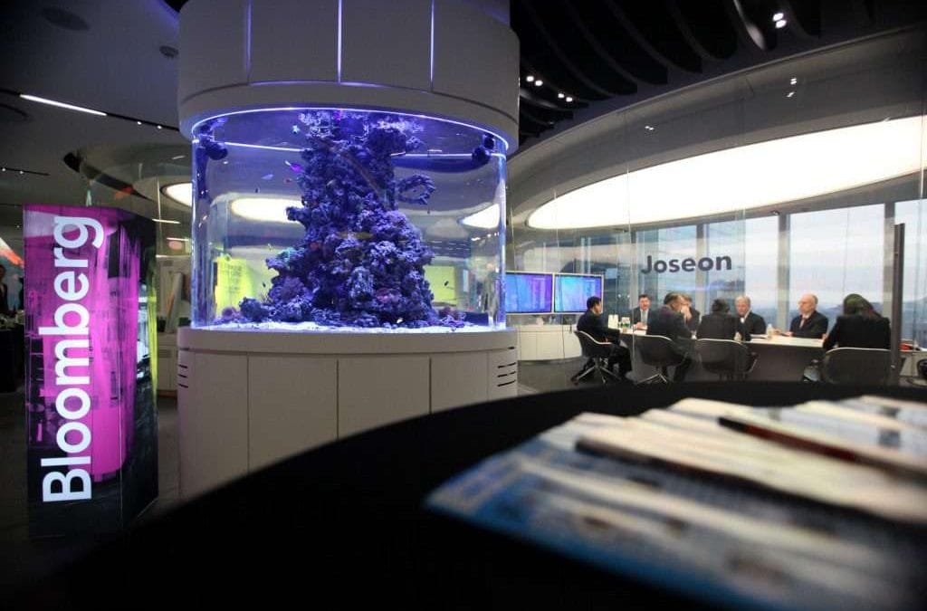 Bloomberg кеңсесі, Корея