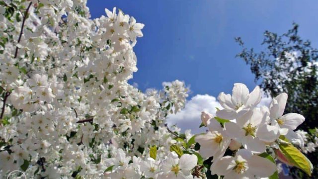 13-15 сәуір күндеріне арналған ауа райы болжамы