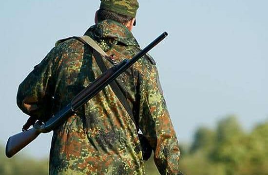Сенатор орманшылардың санын екі есе көбейтуді ұсынды