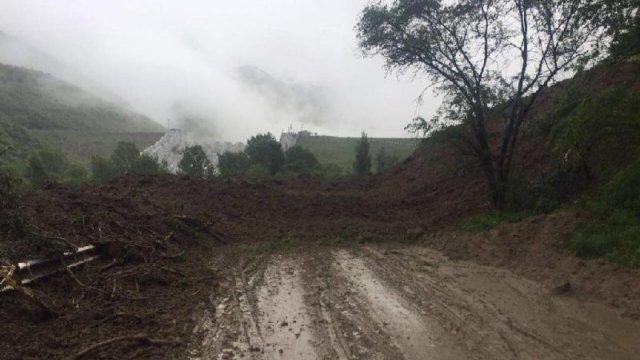 Алматы облысында лай көшкіні жүрді