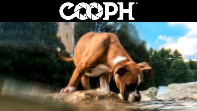 Смартфонмен ерекше фото түсіруге арналған 7 идея (Видео)