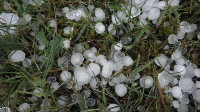 12 мамырға арналған ауа райының болжамы