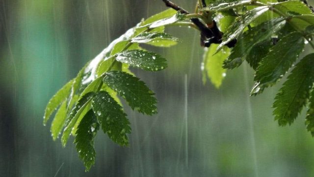 10 сәуірге арналған ауа райының болжамы