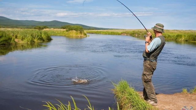 Ақмола облысында балық өнімдерінің сапасына жаңа талаптар қойылды