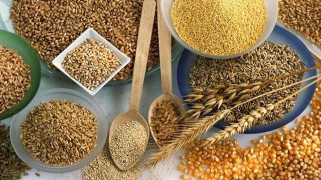 Енді Қазақстан Қытайға майлы және дәнді дақыл экспорттайды