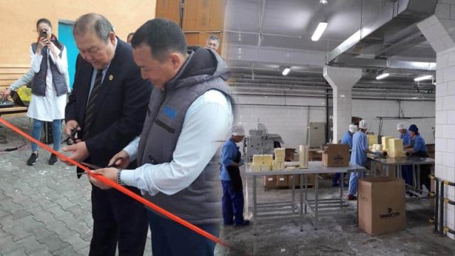 Көкшетауда студенттер зауыт қабырғасында білім алмақ