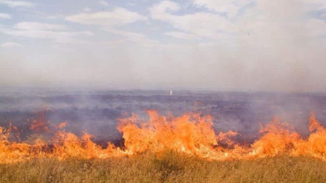 Атырауда үш күннің ішінде 6 мың гектар жайылым өртеніп кетті