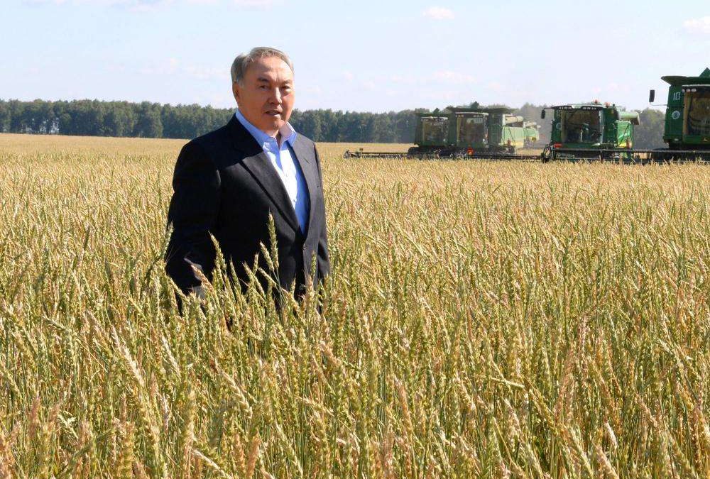Назарбаев Нұрсұлтан, егіс