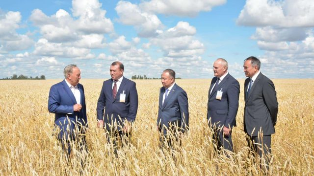 Елбасы «Ұмай жер» жауапкершілігі шектеулі серіктестігінің шаруашылығына барды