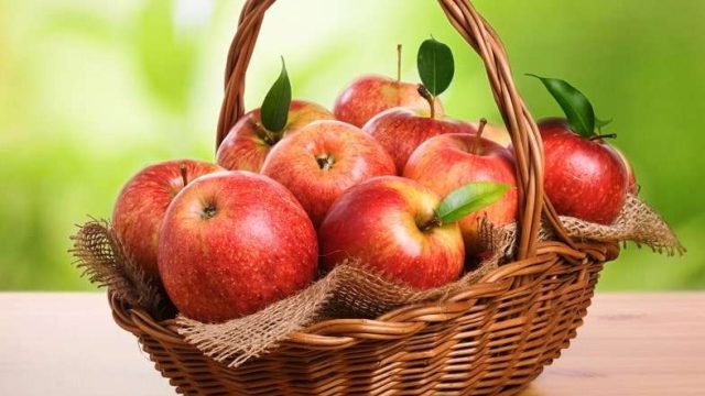 Панфилов ауданы Қытайға алма тасымалдайды