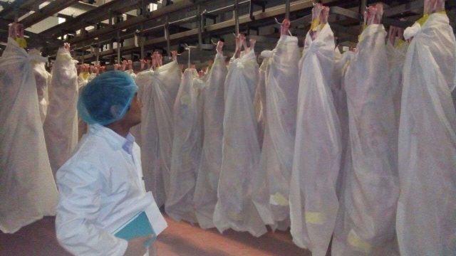 Батыс Қазақстан облысынан Иранға ет экспортталды