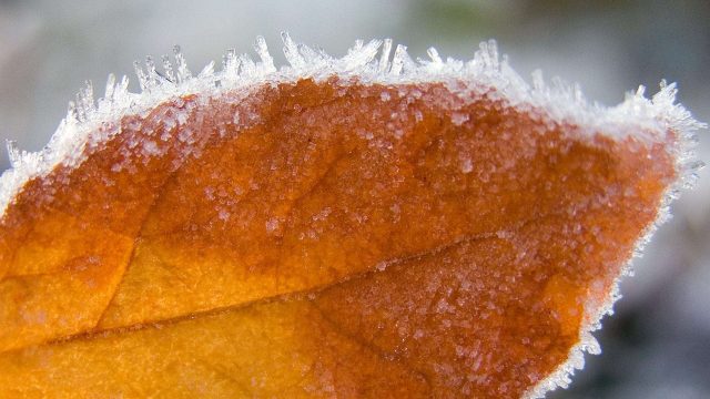 25 қыркүйек: аяз бен жауын-шашын болады