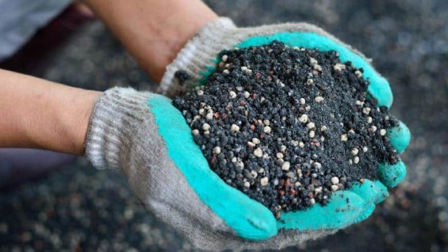 Шетелге тыңайтқыш экспорттаймыз — Рүстем Әлиев