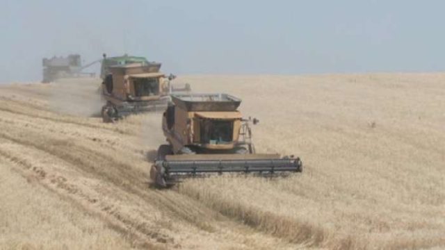 Шымкентте алғаш рет AGROFEST-2017 фестивалі өтті
