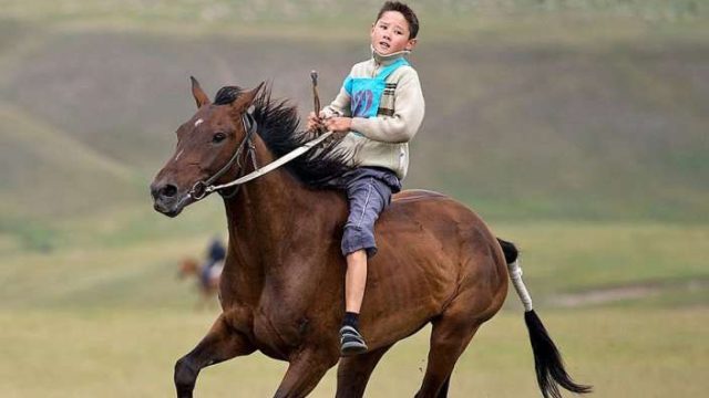 Алматыда тұлпарлар тарихы туралы кітап жарық көрді
