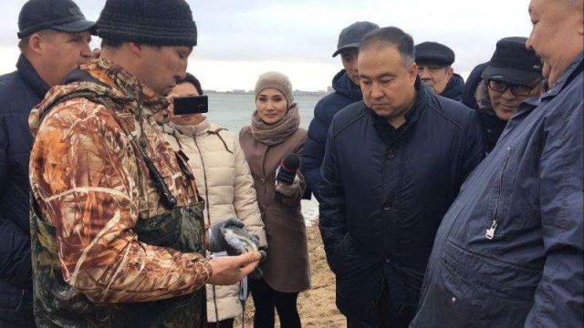 Көкшетауда Қопа көлін балықтандыру шарасы өтті