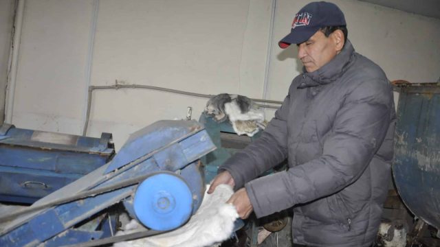 Ақмола облысында «Соғымға дайындық» жобасы жүзеге асырылуда