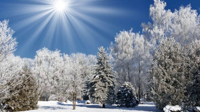 20 қаңтарға арналған ауа райы болжамы