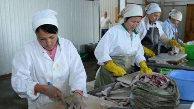 Қазақстанда Балық шаруашылығы комитеті құрылды
