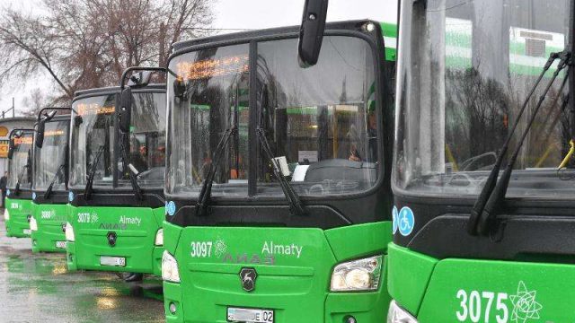 Алматыға биыл 500-ден аса жаңа автобус сатып алынатын болды