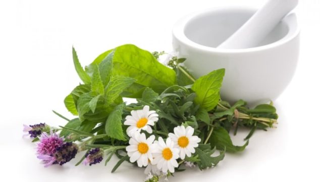 Халық медицинасында қолданылатын дәрілік өсімдіктер