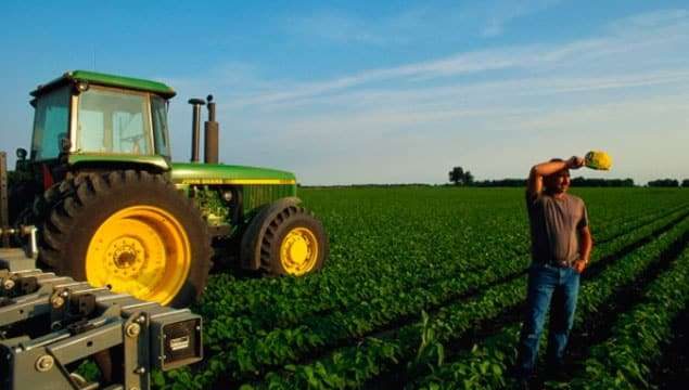 Түркістан облысында ауыл шаруашылығы 3 негізгі бағыт бойынша дамып келеді
