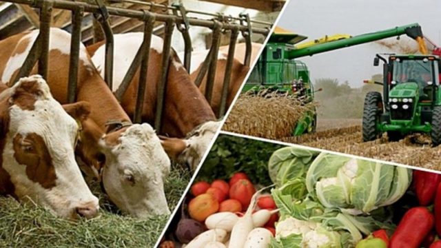 Алматы облысында 1,5 мыңнан астам кәсіпорынға қаржылай көмек беріледі