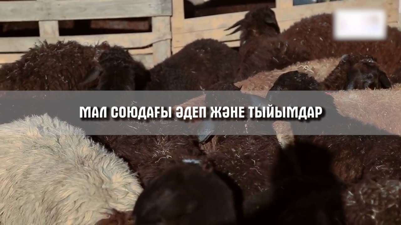 a43683d33b40f413228d54e3c6ed4a2f 2 Мал сою қағидасын білесіз бе?