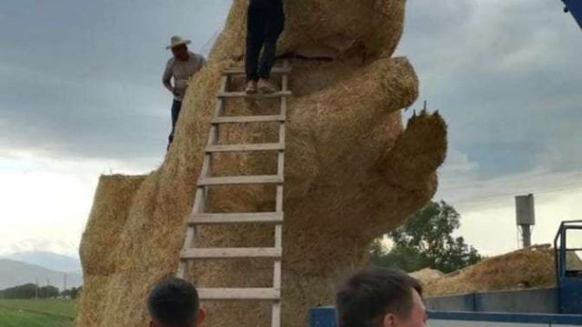 Алматыдағы алып тиіннің арзан нұсқасы жасалды