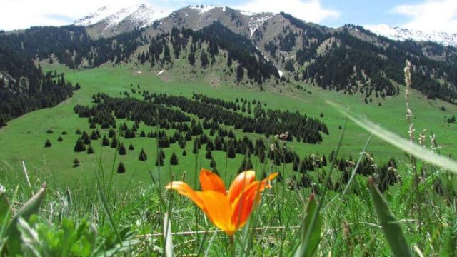 Майлықожа жырларындағы адамгершілік мәселесі