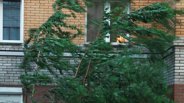 Жел мен бұршақ: 17 тамызға арналған ауа райы болжамы