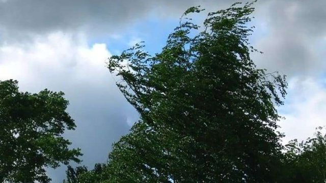 2 тамыздағы ауа райы: қай өңірлерде жел күшейеді?