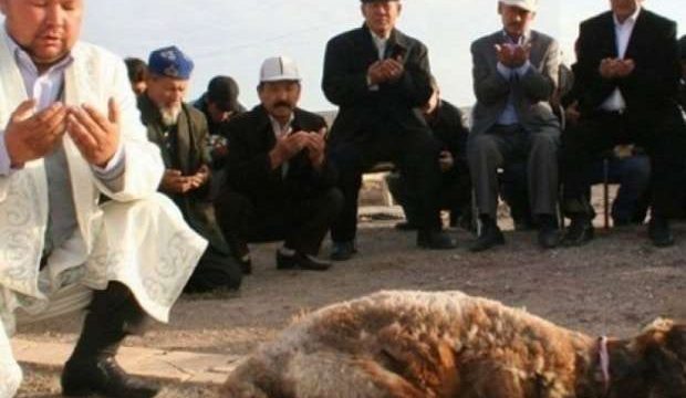 Алматыда Құрбан айт кезінде құрбандық шалатын орындар анықталды