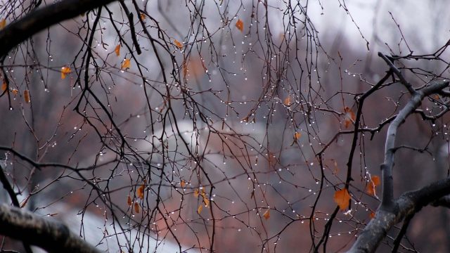 Жел мен жаңбыр: 1 қазанға арналған ауа райы болжамы