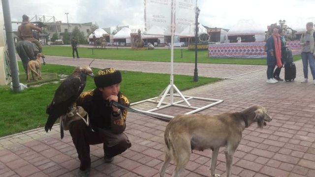 «Қазақстан — Ұлы дала елі»: этника мәдениеті мен қазіргі заманның жарасымы