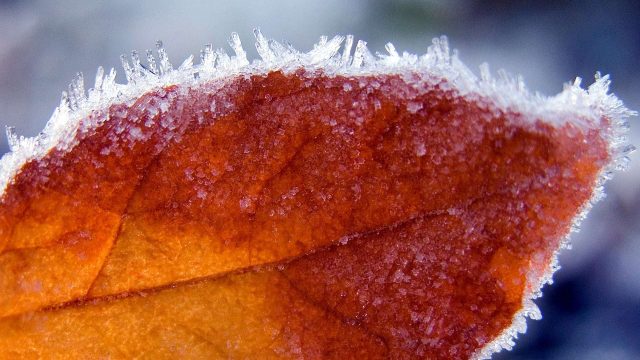 Елімізде қарашаның алғашқы күндері суық болады