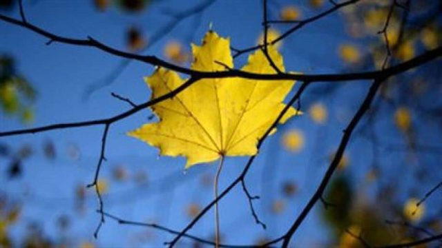 10 қазанға арналған ауа райы болжамы