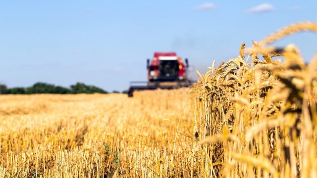 Үкімет пен Ұлттық банк аграрлық секторды дамытудың жаңа шараларын қолға алды