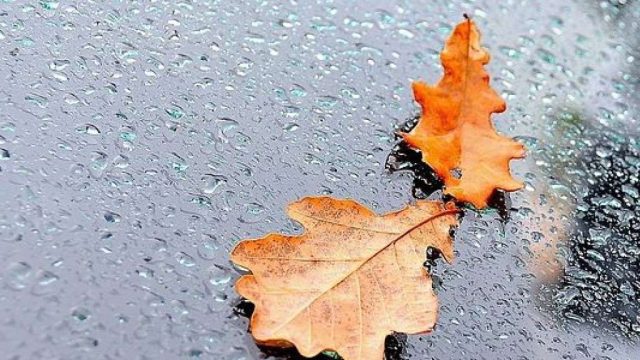 Желдің күшеюі және жаңбыр: 9 қазанға арналған ауа райы болжамы