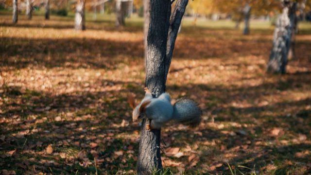 Найзағай, тұман, дауыл. 18 қыркүйектегі ауа райына болжам